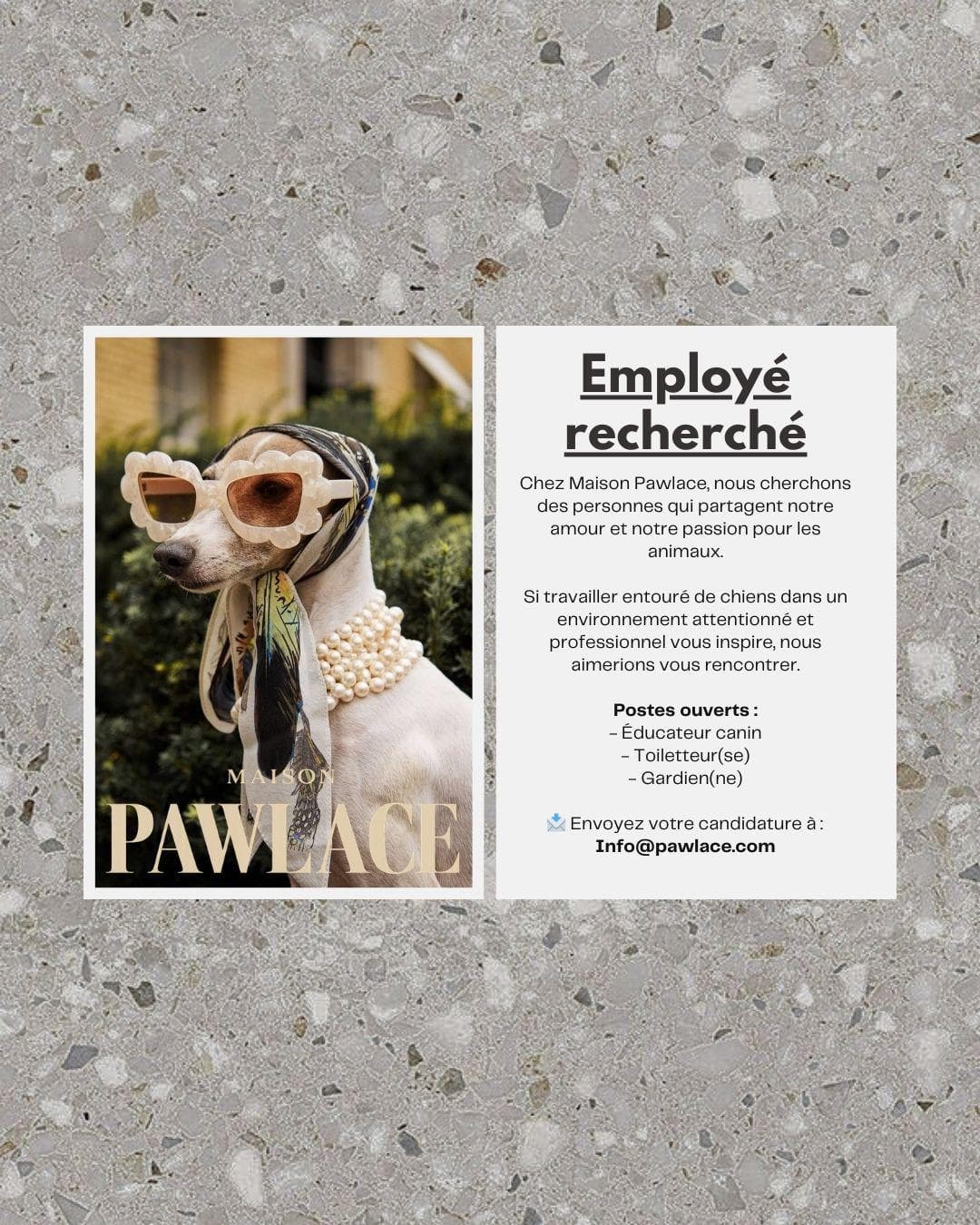 Affiche recrutement Maison Pawlace